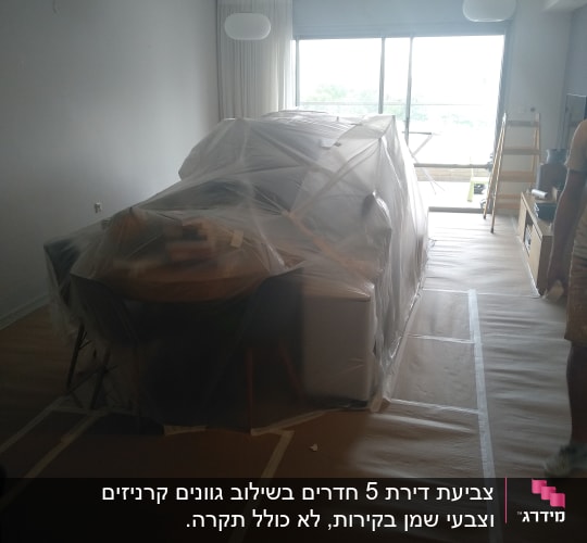 חדר עם רהיטים מכוסים בניילון לקראת צביעה